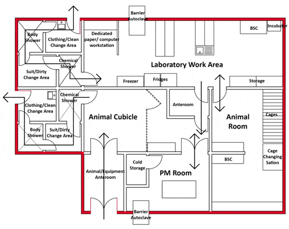 Representative Diagram of a Containment Level 4 CL4 Zone Where Positive Pressure Suits Are Worn